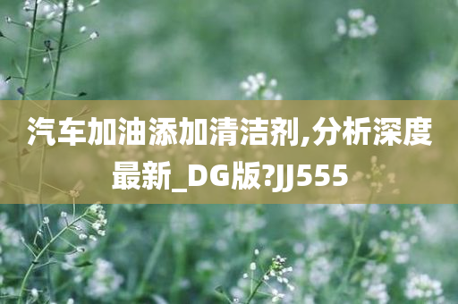 汽车加油添加清洁剂,分析深度最新_DG版?JJ555