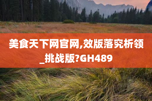 美食天下网官网,效版落究析领_挑战版?GH489