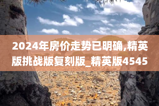 2024年房价走势已明确,精英版挑战版复刻版_精英版4545
