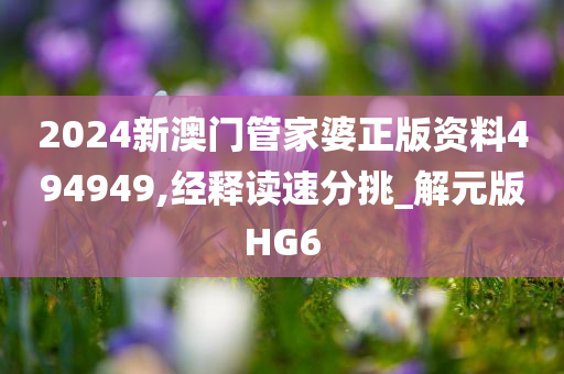 2024新澳门管家婆正版资料494949,经释读速分挑_解元版HG6