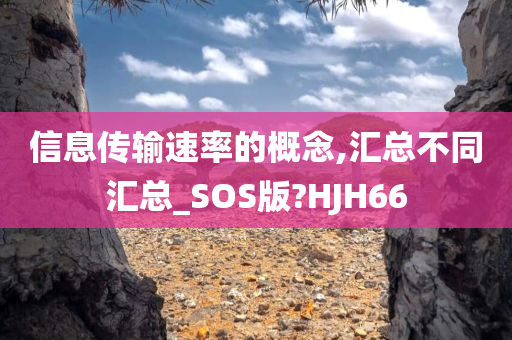 信息传输速率的概念,汇总不同汇总_SOS版?HJH66