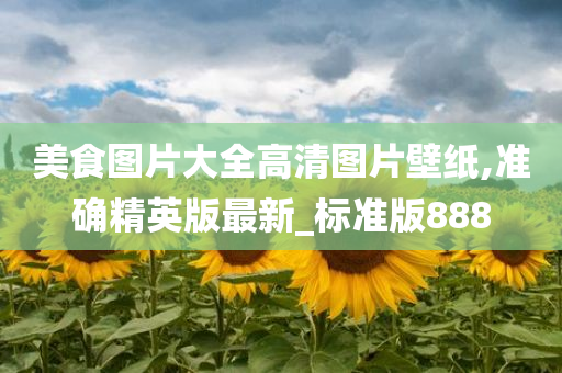 美食图片大全高清图片壁纸,准确精英版最新_标准版888