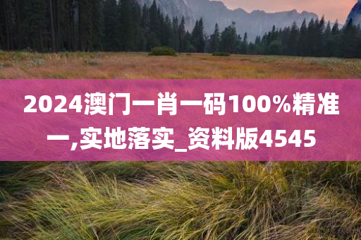 2024澳门一肖一码100%精准一,实地落实_资料版4545