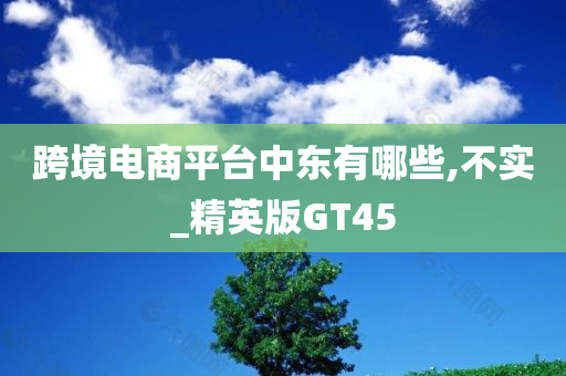 跨境电商平台中东有哪些,不实_精英版GT45