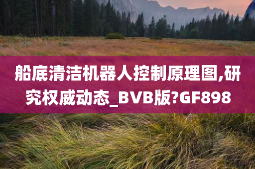 船底清洁机器人控制原理图,研究权威动态_BVB版?GF898