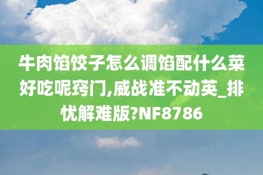 牛肉馅饺子怎么调馅配什么菜好吃呢窍门,威战准不动英_排忧解难版?NF8786