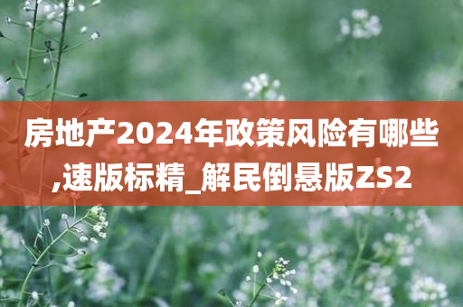 房地产2024年政策风险有哪些,速版标精_解民倒悬版ZS2