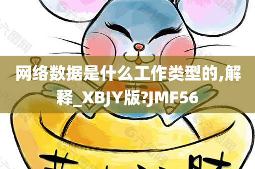网络数据是什么工作类型的,解释_XBJY版?JMF56