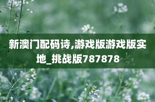 新澳门配码诗,游戏版游戏版实地_挑战版787878