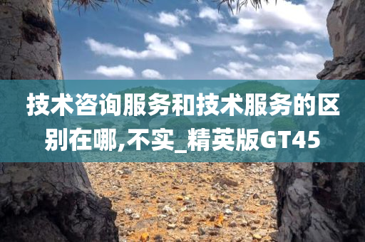 技术咨询服务和技术服务的区别在哪,不实_精英版GT45