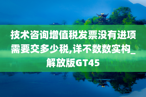 技术咨询增值税发票没有进项需要交多少税,详不数数实构_解放版GT45