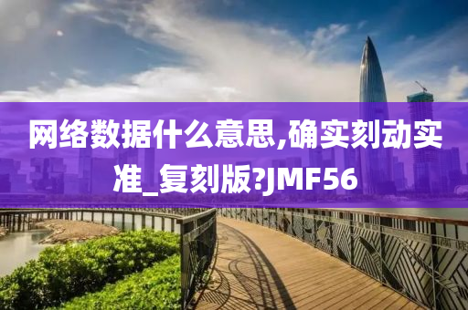 网络数据什么意思,确实刻动实准_复刻版?JMF56今晚必出三肖2025_2025新澳门精准免费提供·精确判断