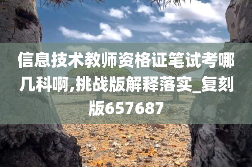信息技术教师资格证笔试考哪几科啊,挑战版解释落实_复刻版657687