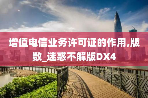 增值电信业务许可证的作用,版数_迷惑不解版DX4
