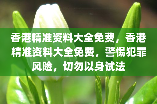 香港精准资料大全免费，香港精准资料大全免费，警惕犯罪风险，切勿以身试法