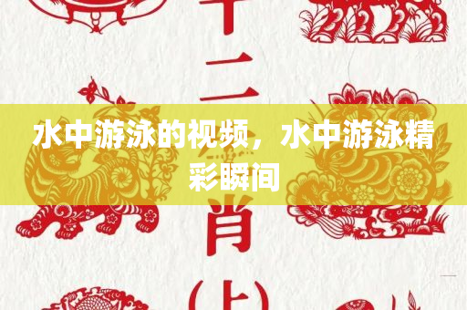 水中游泳的视频，水中游泳精彩瞬间