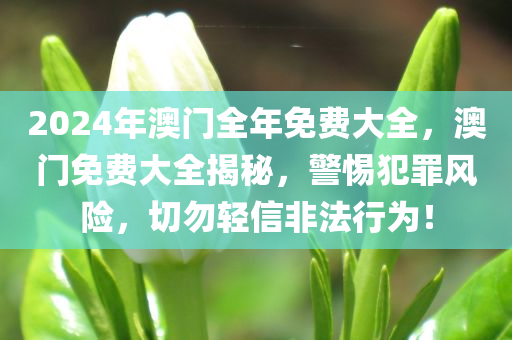 2024年澳门全年免费大全，澳门免费大全揭秘，警惕犯罪风险，切勿轻信非法行为！