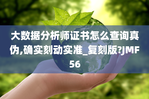 大数据分析师证书怎么查询真伪,确实刻动实准_复刻版?JMF56