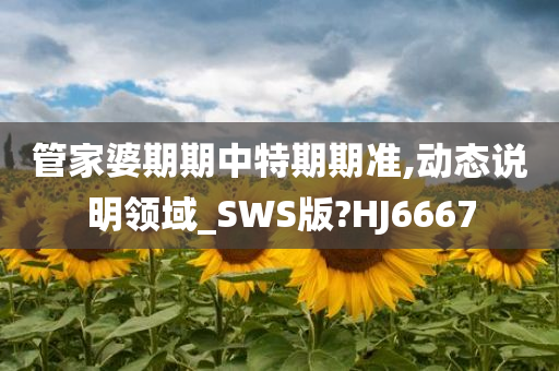 管家婆期期中特期期准,动态说明领域_SWS版?HJ6667