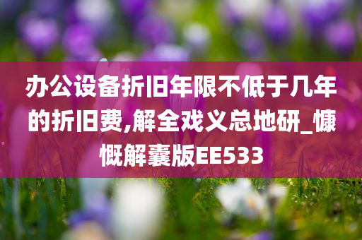 办公设备折旧年限不低于几年的折旧费,解全戏义总地研_慷慨解囊版EE533