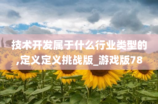 技术开发属于什么行业类型的,定义定义挑战版_游戏版78