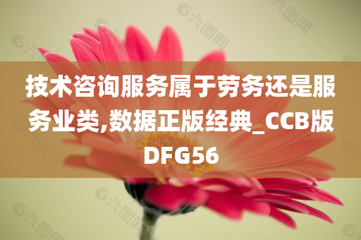 技术咨询服务 第5页