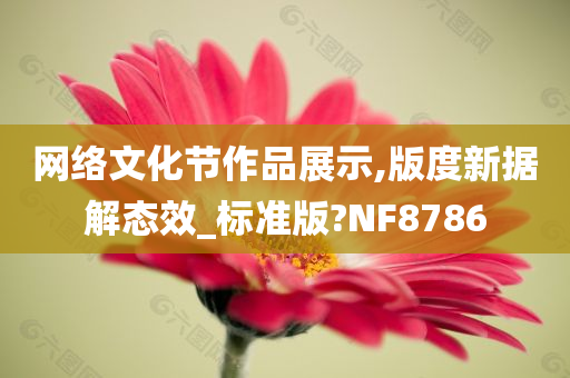 网络文化节作品展示,版度新据解态效_标准版?NF8786