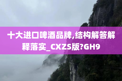 十大进口啤酒品牌,结构解答解释落实_CXZS版?GH9
