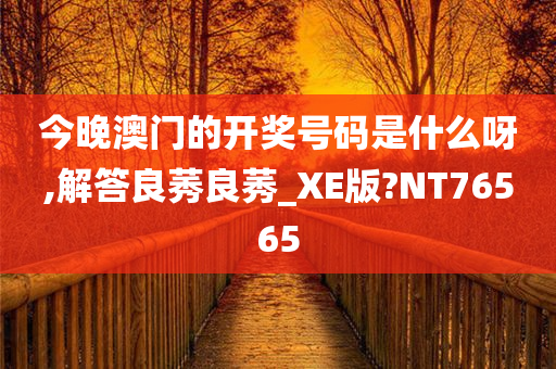 今晚澳门的开奖号码是什么呀,解答良莠良莠_XE版?NT76565
