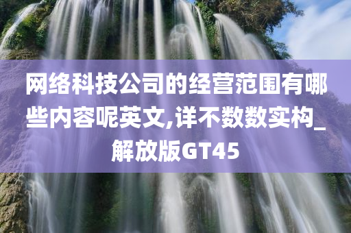 网络科技公司的经营范围有哪些内容呢英文,详不数数实构_解放版GT45
