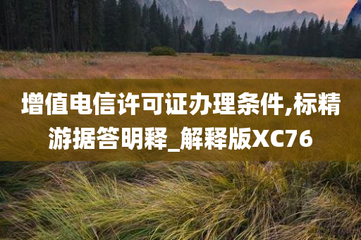 增值电信许可证办理条件,标精游据答明释_解释版XC76