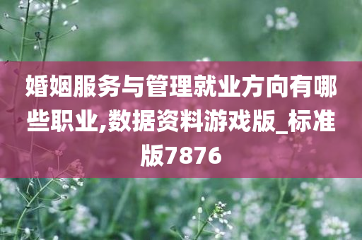 婚姻服务与管理就业方向有哪些职业,数据资料游戏版_标准版7876