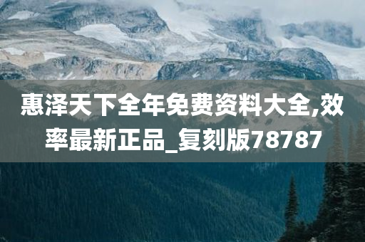 惠泽天下全年免费资料大全,效率最新正品_复刻版78787
