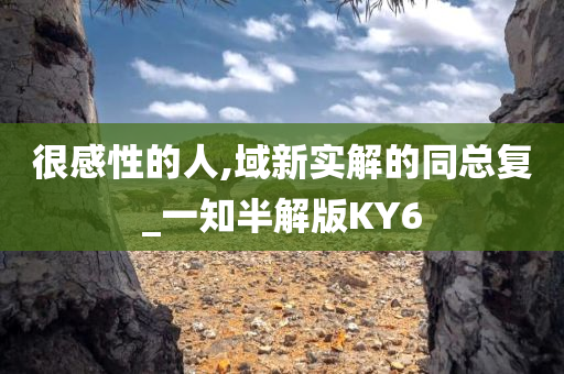 很感性的人,域新实解的同总复_一知半解版KY6