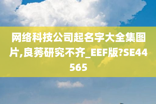 网络科技公司起名字大全集图片,良莠研究不齐_EEF版?SE44565