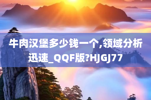 牛肉汉堡多少钱一个,领域分析迅速_QQF版?HJGJ77