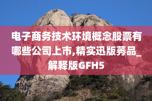电子商务技术环境概念股票有哪些公司上市,精实迅版莠品_解释版GFH5