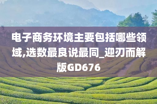 电子商务环境主要包括哪些领域,选数最良说最同_迎刃而解版GD676