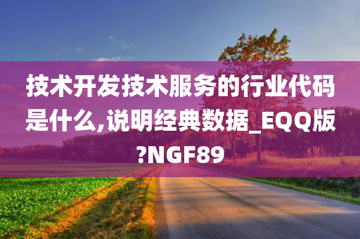 技术开发技术服务的行业代码是什么,说明经典数据_EQQ版?NGF89