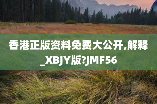 香港正版资料免费大公开,解释_XBJY版?JMF56