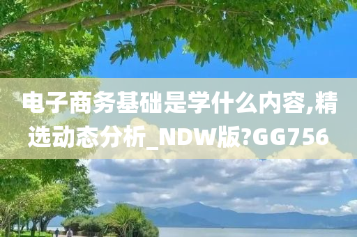 电子商务基础是学什么内容,精选动态分析_NDW版?GG756
