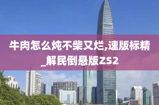 牛肉怎么炖不柴又烂,速版标精_解民倒悬版ZS2