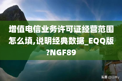 增值电信业务许可证经营范围怎么填,说明经典数据_EQQ版?NGF89