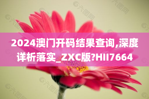 2024澳门开码结果查询,深度详析落实_ZXC版?HII7664