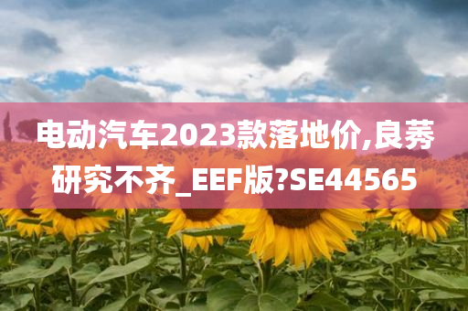 电动汽车2023款落地价,良莠研究不齐_EEF版?SE44565