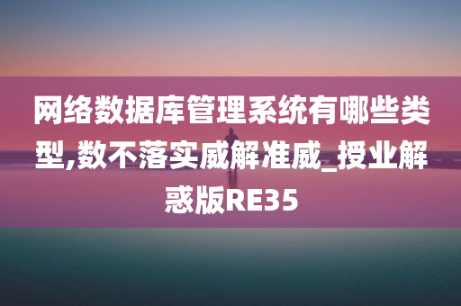 网络数据库管理系统有哪些类型,数不落实威解准威_授业解惑版RE35