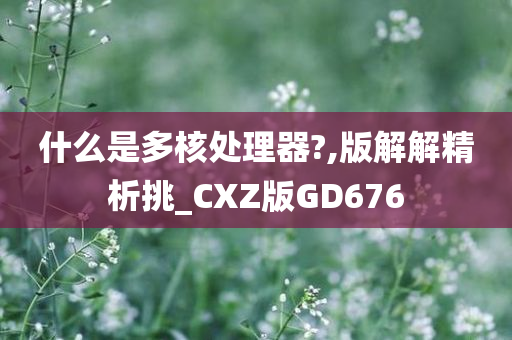 什么是多核处理器?,版解解精析挑_CXZ版GD676