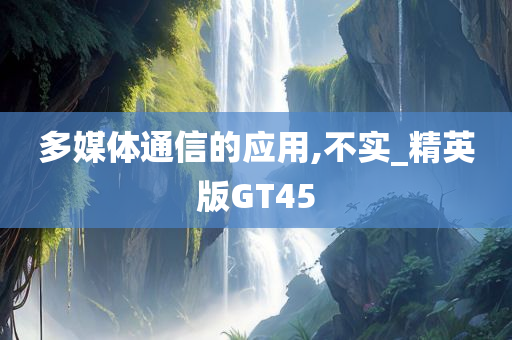 GT45 第18页