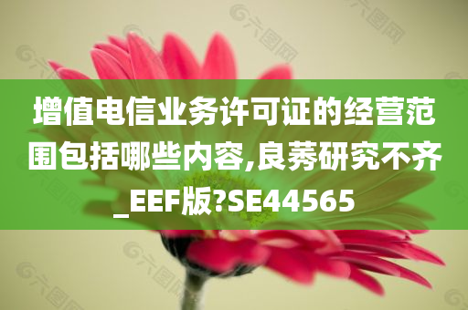 增值电信业务许可证的经营范围包括哪些内容,良莠研究不齐_EEF版?SE44565