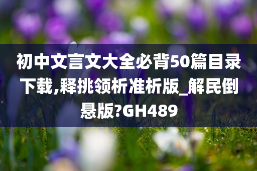 初中文言文大全必背50篇目录下载,释挑领析准析版_解民倒悬版?GH489